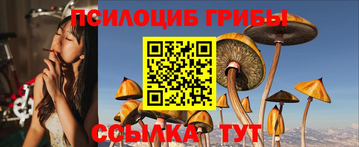 Псилоцибиновые грибы Psilocybine cubensis Людиново