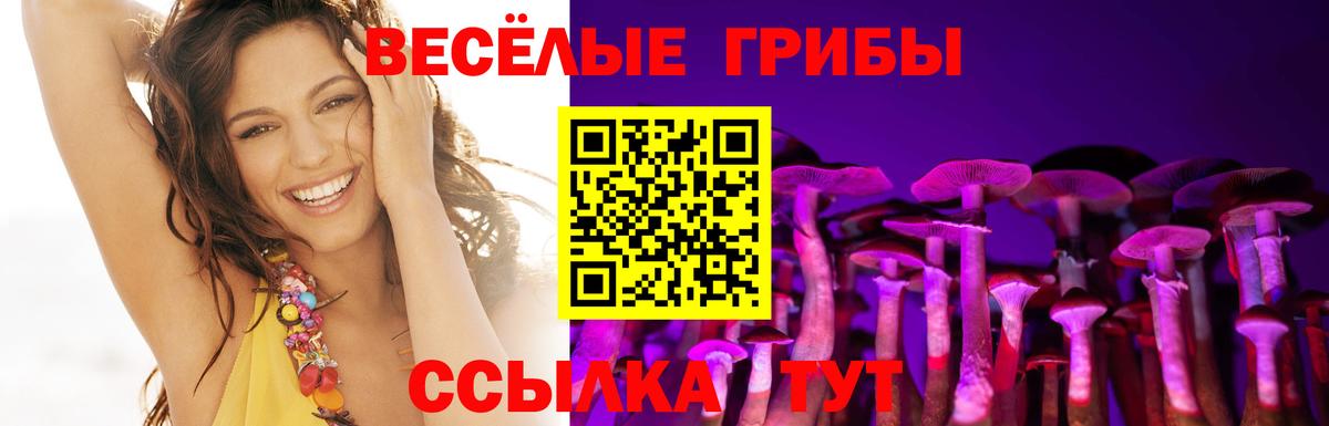 Псилоцибиновые грибы ЛСД  Галлюциногенные грибы MAGIC MUSHROOMS  Людиново  Вход с VPN 